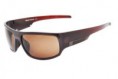 /album/oculos-de-sol/a253-0201g-marrom-jpg/